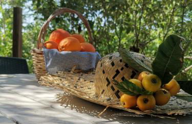 La Fattoria Dei Nonni - Foto 26