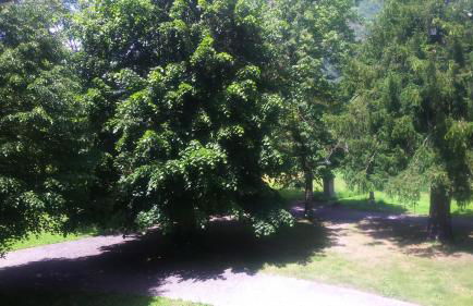 Appartement T2 Jardins de Ramel - Foto 18