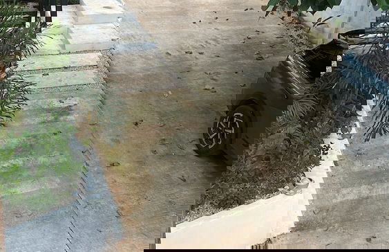 Villas Conchal - Photo 34