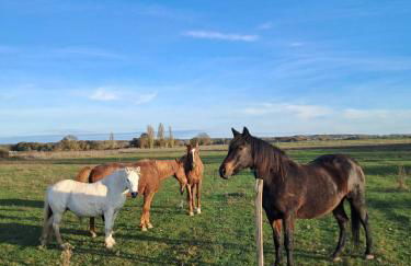 Eco-gîte du Four à pain - Photo 22