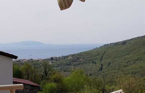 Diana Apartman - Photo 54