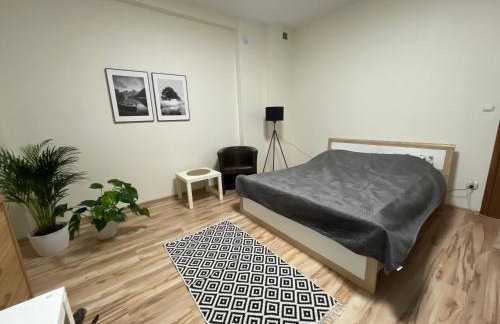 Apartamenty Trzciana - Foto 33