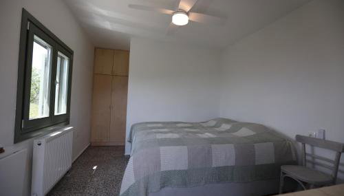 Admonis - Home in the olive grove - Foto 3