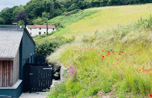 Collective Yard - Foto 27