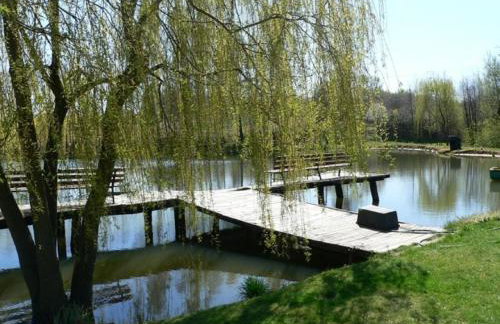 Agroturystyka w Dolinie Stawów - Photo 34