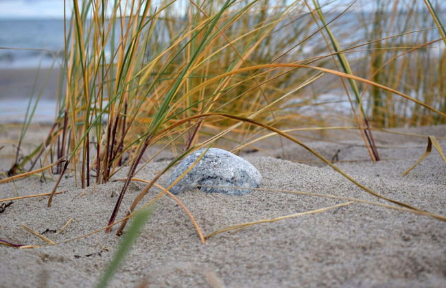 Beach Whispers Modern Retreat - Foto 14