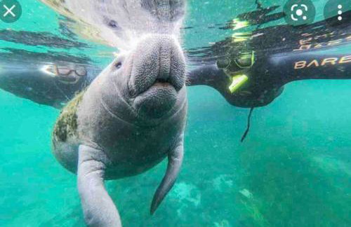 Relaxing Citrus Hills Townhouse Pool/Tennis/Golf - Foto 40