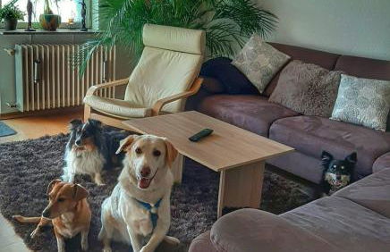 Hillis Ferienwohnung Saarland - Foto 26