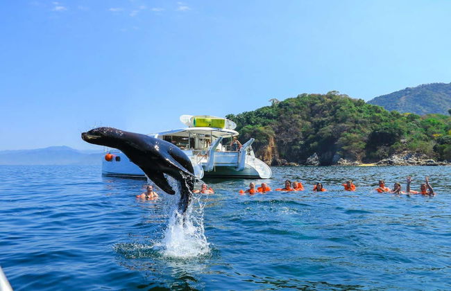 Banderas Bay Sailboat Cruise - Foto 7