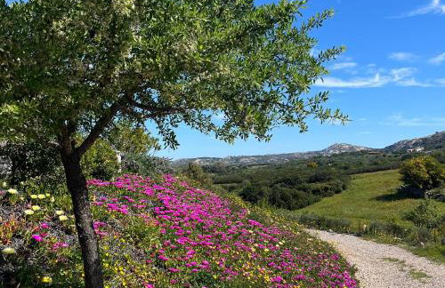 Dependance Pavoncella - Foto 35