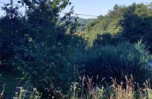 Le petit paradis, mini maison,nature,confort,calme - Foto 22