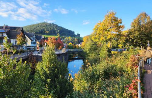 Schwarzwald-Ferienwohnungen Begert - Foto 59