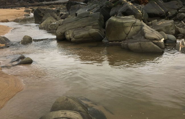 Lovely 3 Bedroom Holiday Bungalow Near Bude - Foto 5