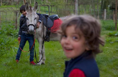 Moinhos Carvalhas - Foto 26