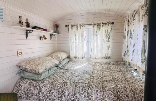 The Oyster Bed - Foto 3