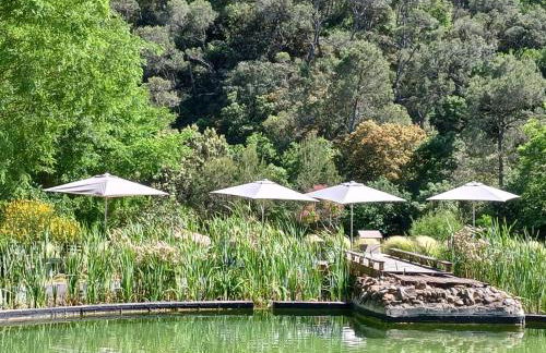 L'Etang Des Cigales - Foto 46