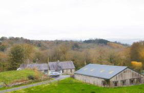 Y Fedw Wen - Foto 33