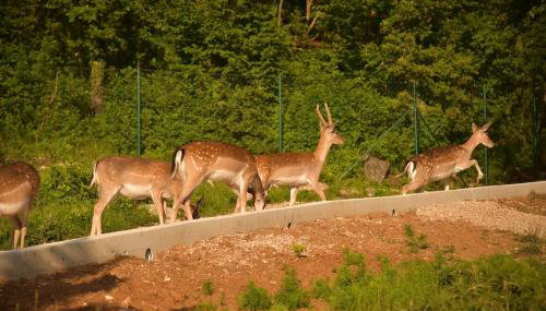 Holiday Home Villa Skavre - Foto 4