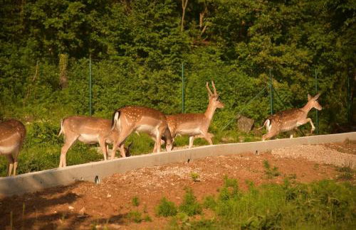 Holiday Home Villa Skavre - Foto 4