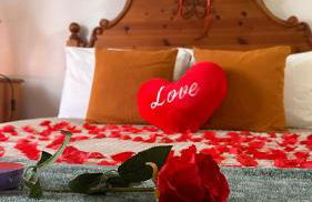 Monte da Azinheira - Foto 2