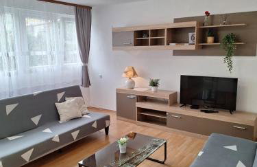 Apartment Banovac - Foto 10