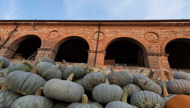 Agriturismo Arte Contadina - Foto 2, Imagem principal