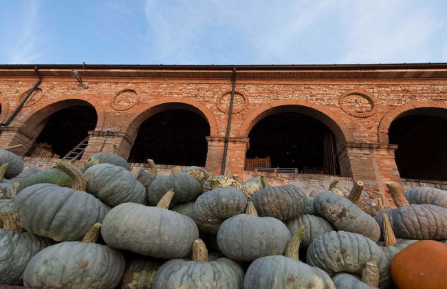 Agriturismo Arte Contadina - Photo 1