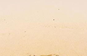 MAREA Algarve - Sea view cozy sunny apartment in Alvor - Foto 30