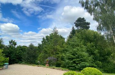 STARGAZER adult only - Foto 6