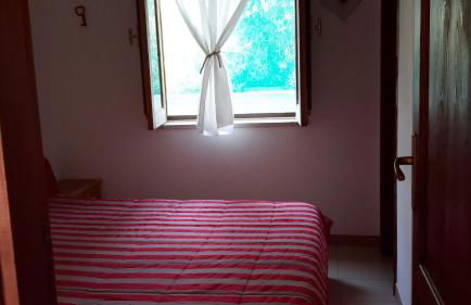 Da Riccardo - Foto 13