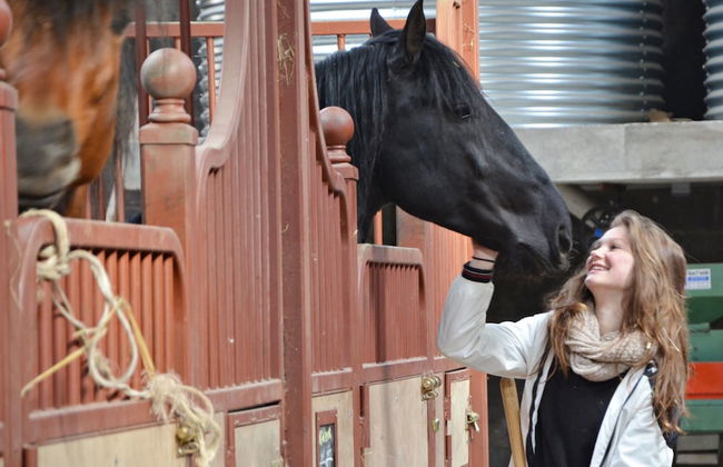 Château des Noces - Foto 20