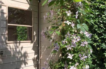 Leśna 6 - House with a garden - Foto 31