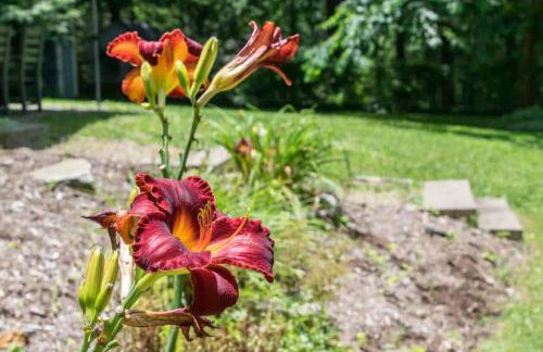 Historic 4BR Colonial with Pool Table and Fire Pit - Foto 40