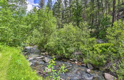 Grizzly Gulch Cabin Historic - Foto 19