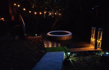 UNDER THE GREEN ROOF - Foto 14