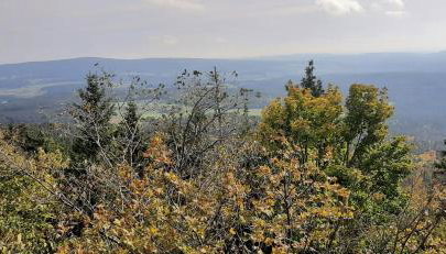 Ferienwohnung Fichtelgebirge - Foto 3
