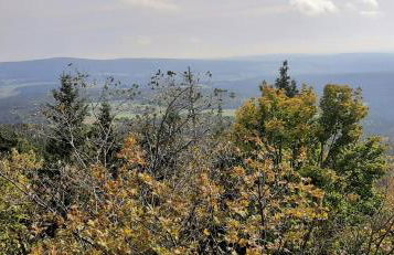 Ferienwohnung Fichtelgebirge - Foto 3