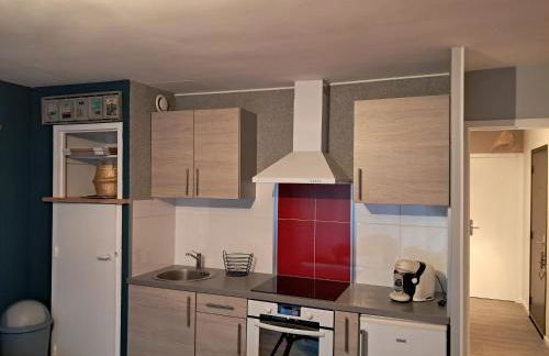 Appartement 1 chambre face aux dunes - Foto 4