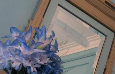 Villa Spozendus - Foto 8