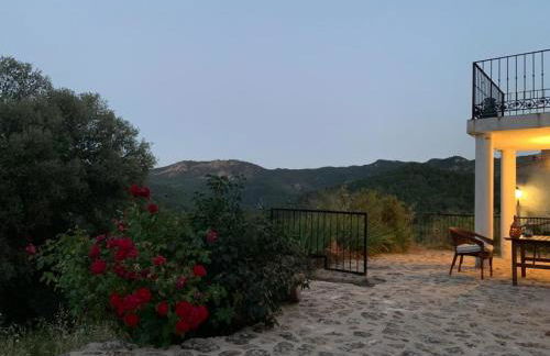 Casa en valle del Tus - Foto 3