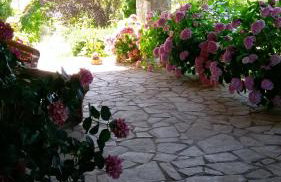 Kastraki Vacations House - Foto 7