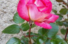 Appartamento Tramontana - Foto 38