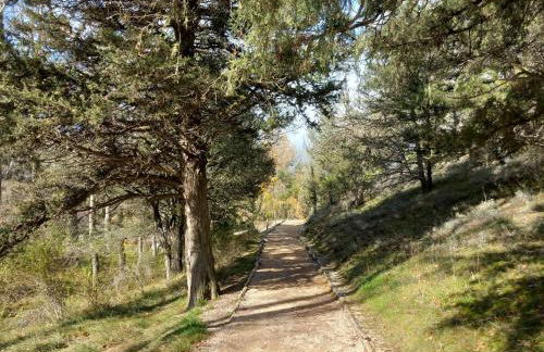 La Casona de El Royo - Foto 46