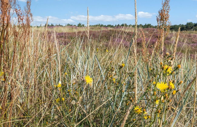 "Anarosa" - 200m from the sea - Foto 3