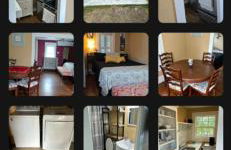 Il Nido (The Nest) - Photo 2