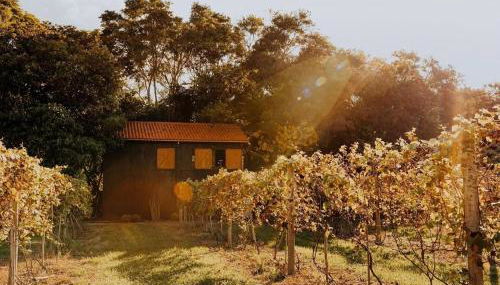 Arroyo & Grapes - Foto 3