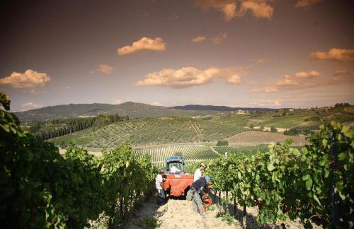 Boutique Wine Resort - Villa Dianella - Foto 34