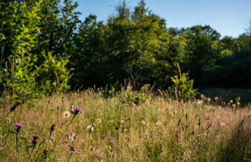 Villa 4 étoiles - 3 chambres - 6 personnes - Nature, campagne, confort moderne, charme, jardin et vue exceptionnelle - Proche Martel - Foto 19