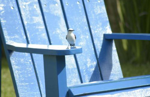 A Casinha Lumiar - Foto 43