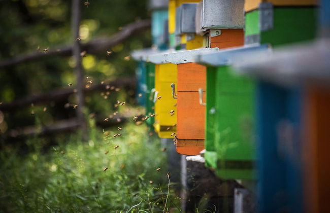 Agriturismo La Pertica - Photo 30